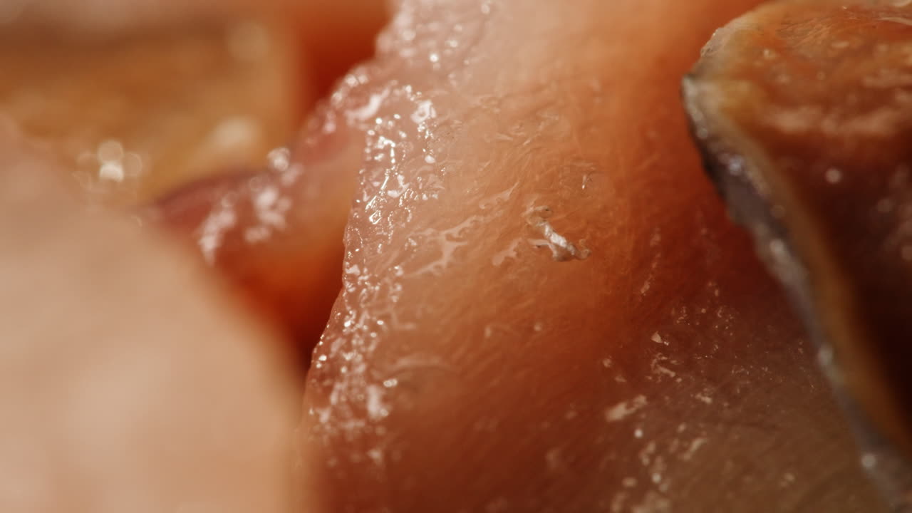 Frozen Slices of Red Fish