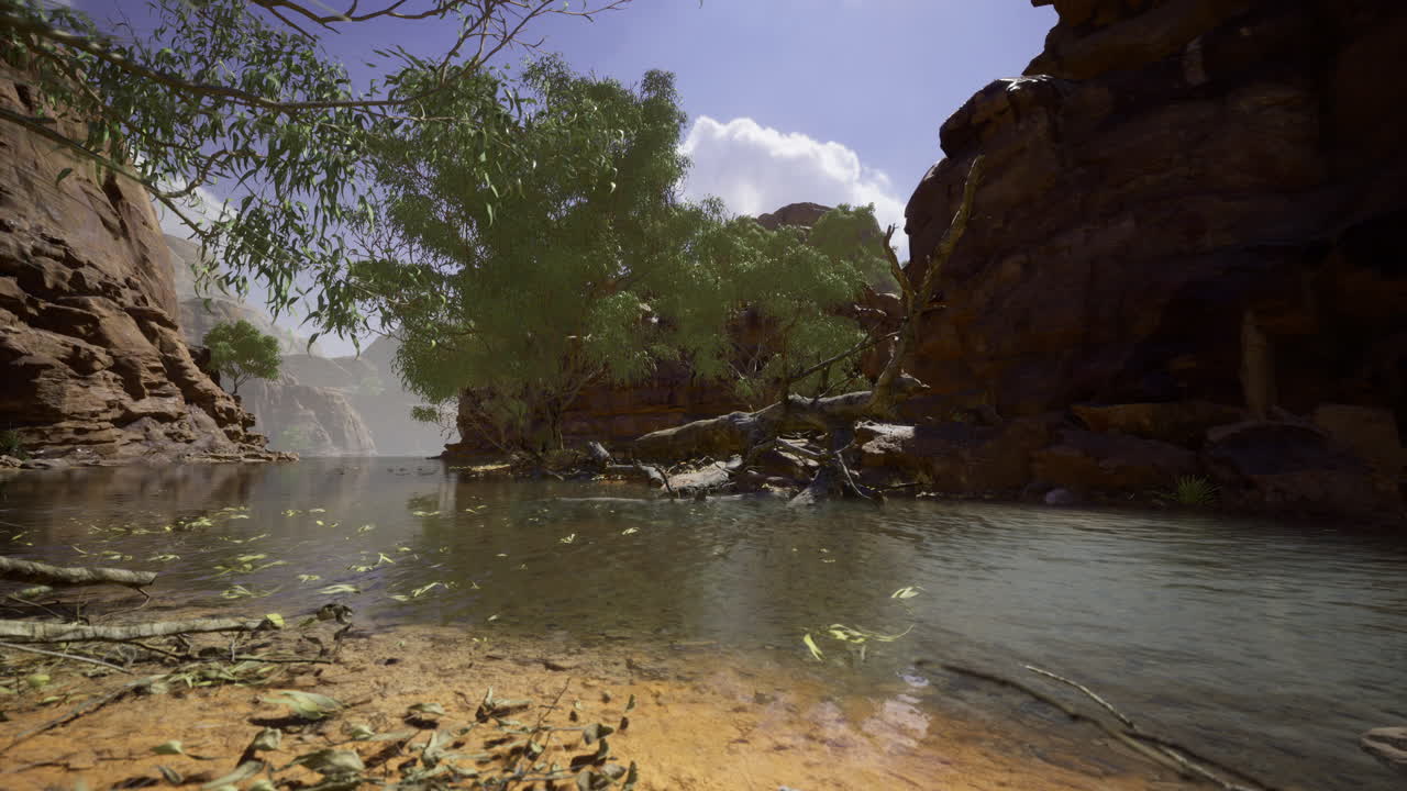 Tranquil canyon riverbank on a sunny afternoon with lush greenery