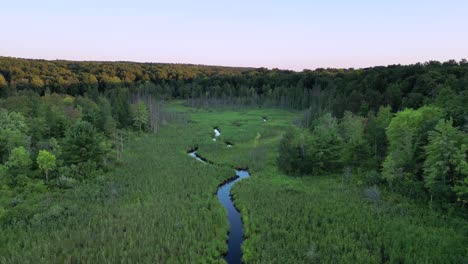 Ecosystem-Of-Rivers-and-Marshes