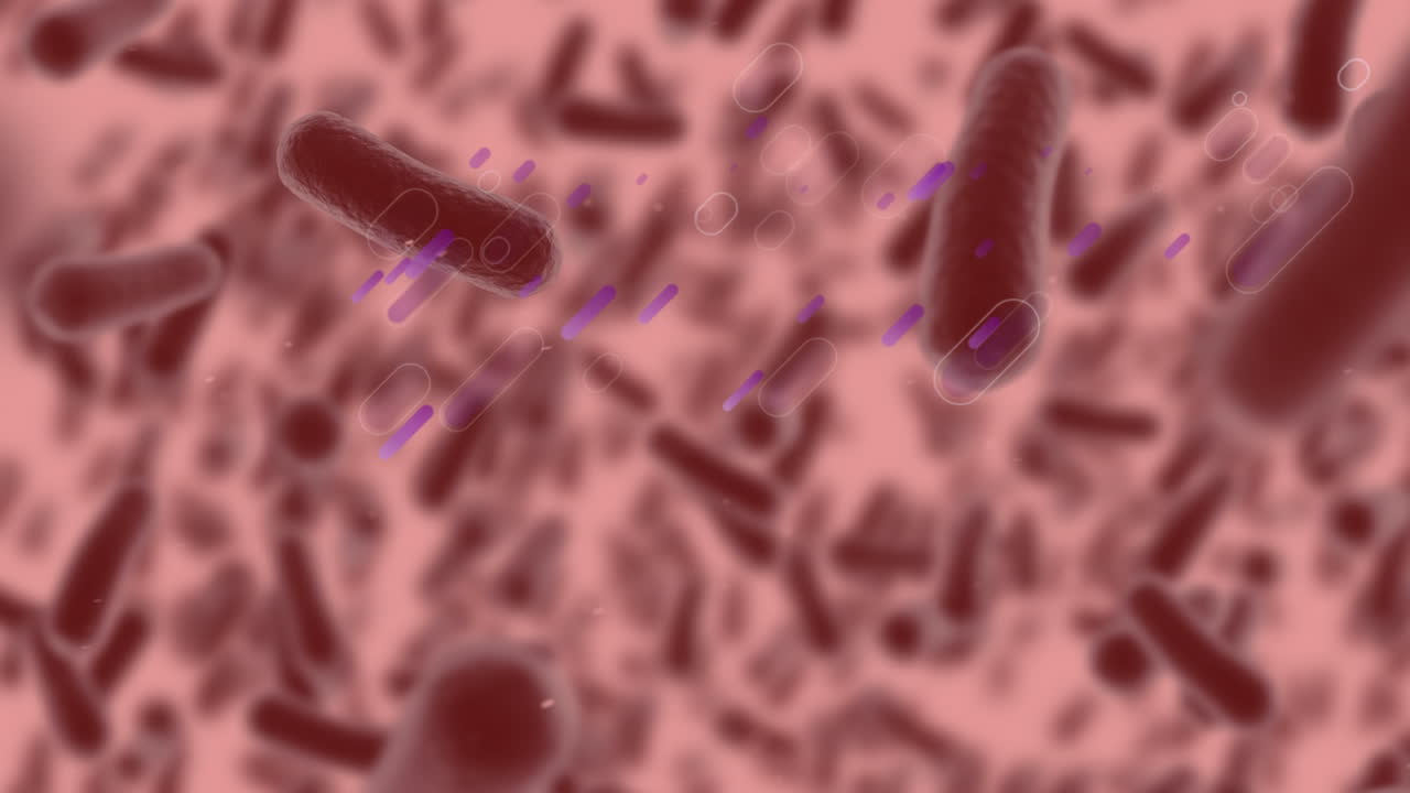 ⁇ 은 배경 위에서 움직이는 세포의 애니메이션