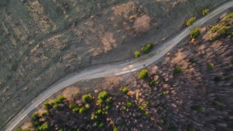 un camino sinuoso que atraviesa un bosque y campos abiertos en la hora dorada, vista aérea