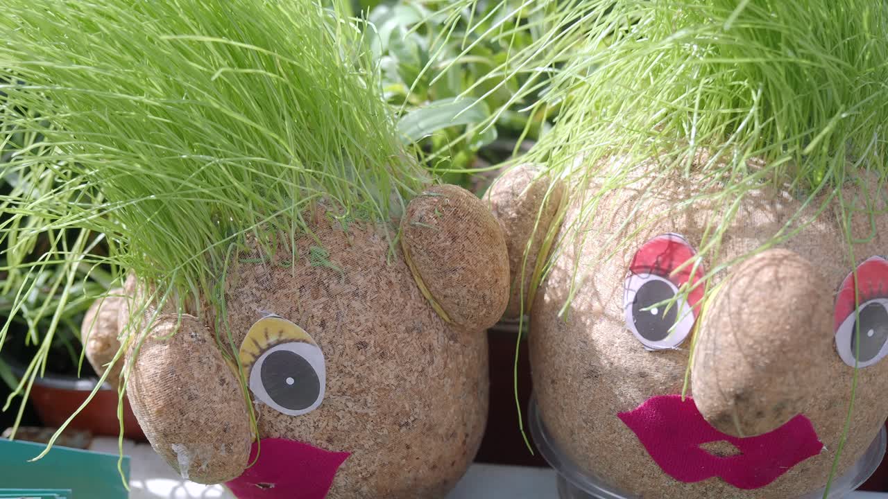 귀여운 잔디 머리 플랜터