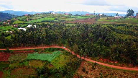 safari vehicle driving through african savannah in uganda, east africa - aerial drone shot