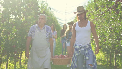 farmers harvesting apples in an orchard