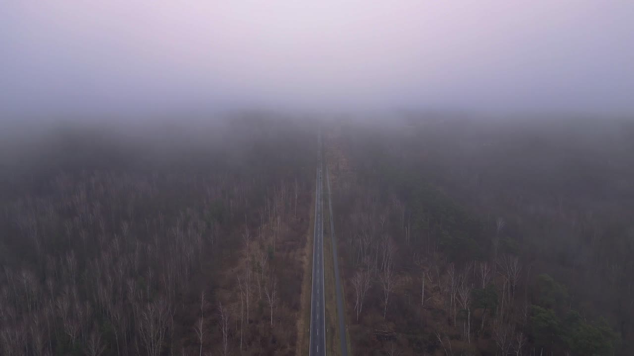 straight road crossing a forest in winter with fog. Fantastic aerial view flight descending drone