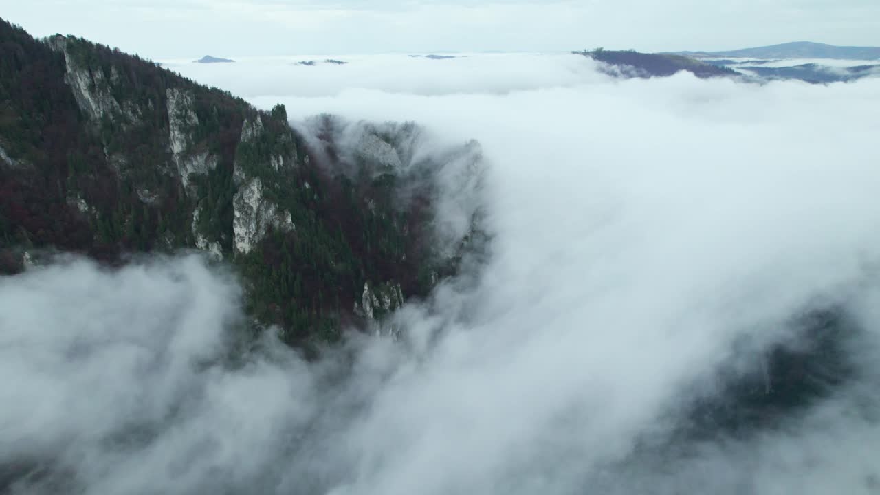 계곡에서 드론 항공 안개, 비가 내린 후 안개 숲