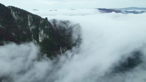 Niebla-Aérea-De-Drones-En-El-Valle,-Bosque-Brumoso-Después-De-La-Lluvia