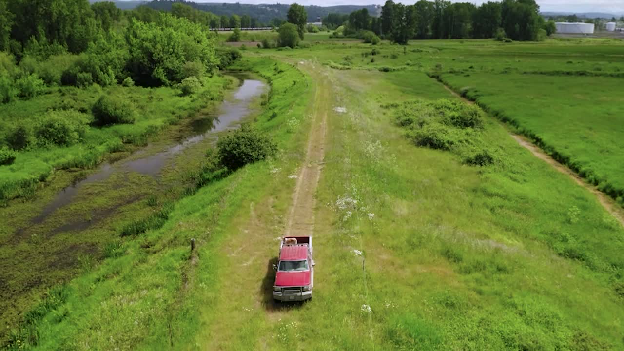 camioneta conduciendo a través de campos agrícolas con un perro montando en la parte de atrás