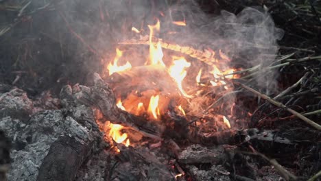 burning of dry woods, leaves and straw during bonfire with fading fire flames and leftover ash