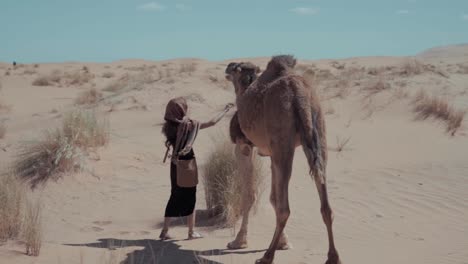 cinematic slow motion video of a young and small woman petting a camel after riding it for many hours through the sahara desert to her destination in morocco