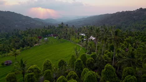 aerial view of a lush tropical landscape at sunrise with rice terraces, palm trees, and traditional buildings