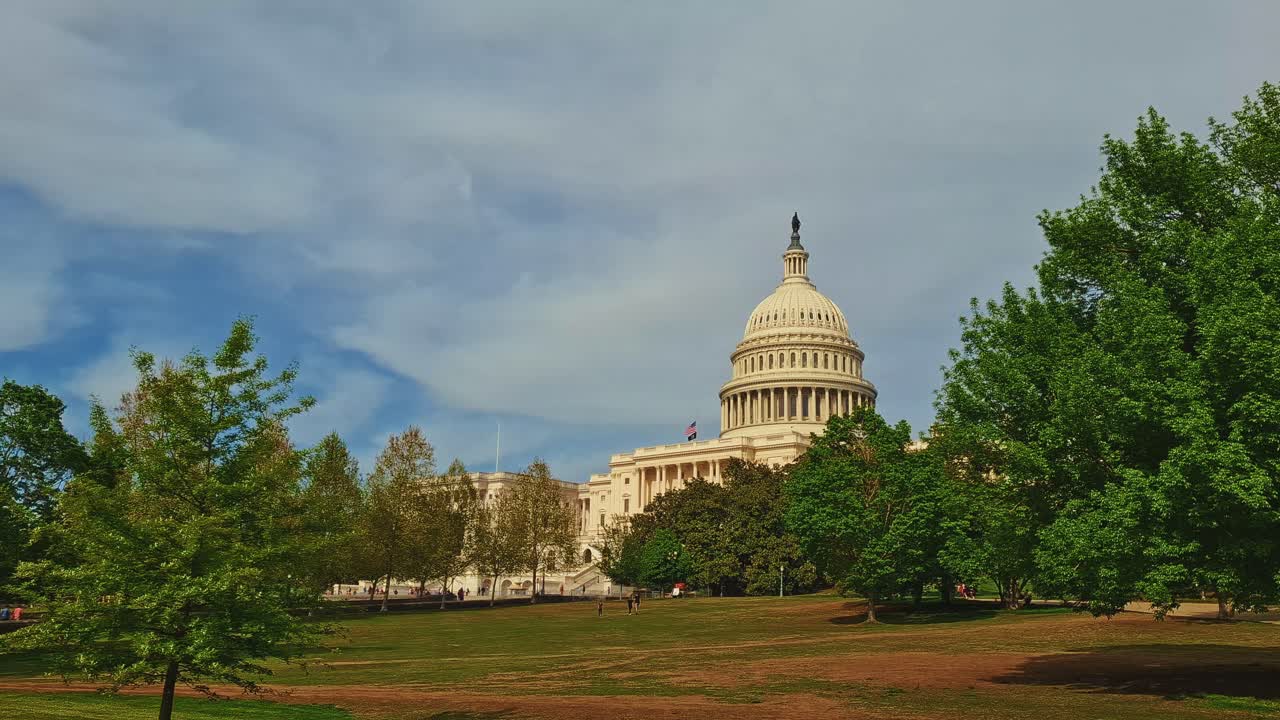 Cúpula del histórico edificio del Capitolio de los Estados Unidos enmarcada por árboles, Washington D. C.