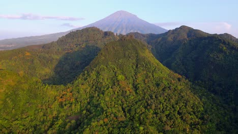 aerial view of beautiful tropical wilderness view with mountain