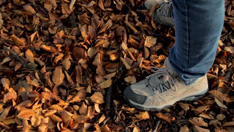 Little-boy-kicking-playing-with-leaves-outdoors