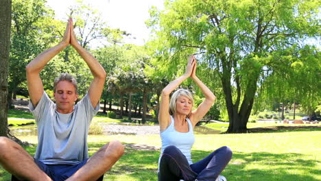 couple doing yoga together in the park