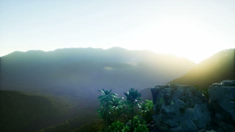 Mountain-and-Field-Landscape-with-Palms