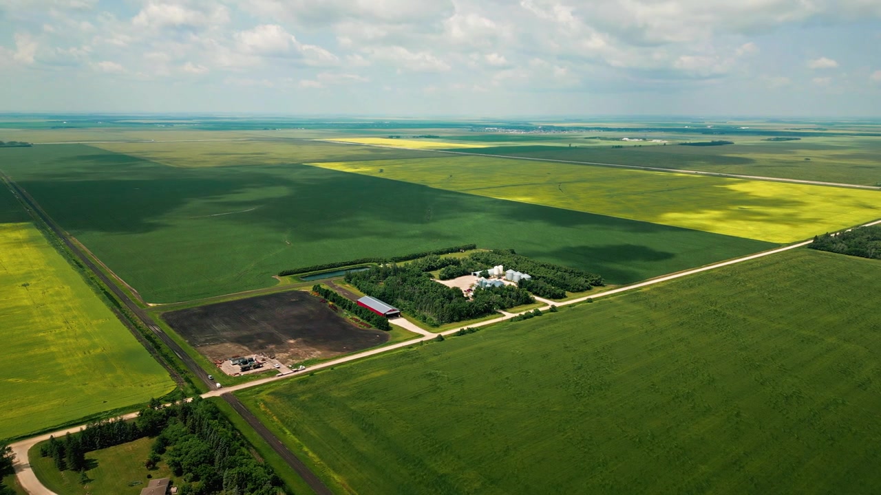 Orbita con drone ad alta angolazione di una fattoria della prateria con silos, edifici agricoli, campi di grano e coltivazioni di colza sotto un cielo estivo blu