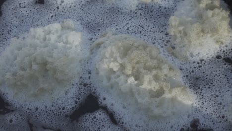river foam perched on the water, among the stones.