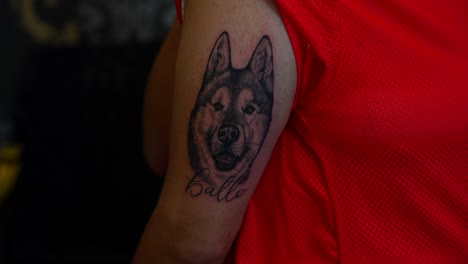 realistic husky tattoo on person's arm