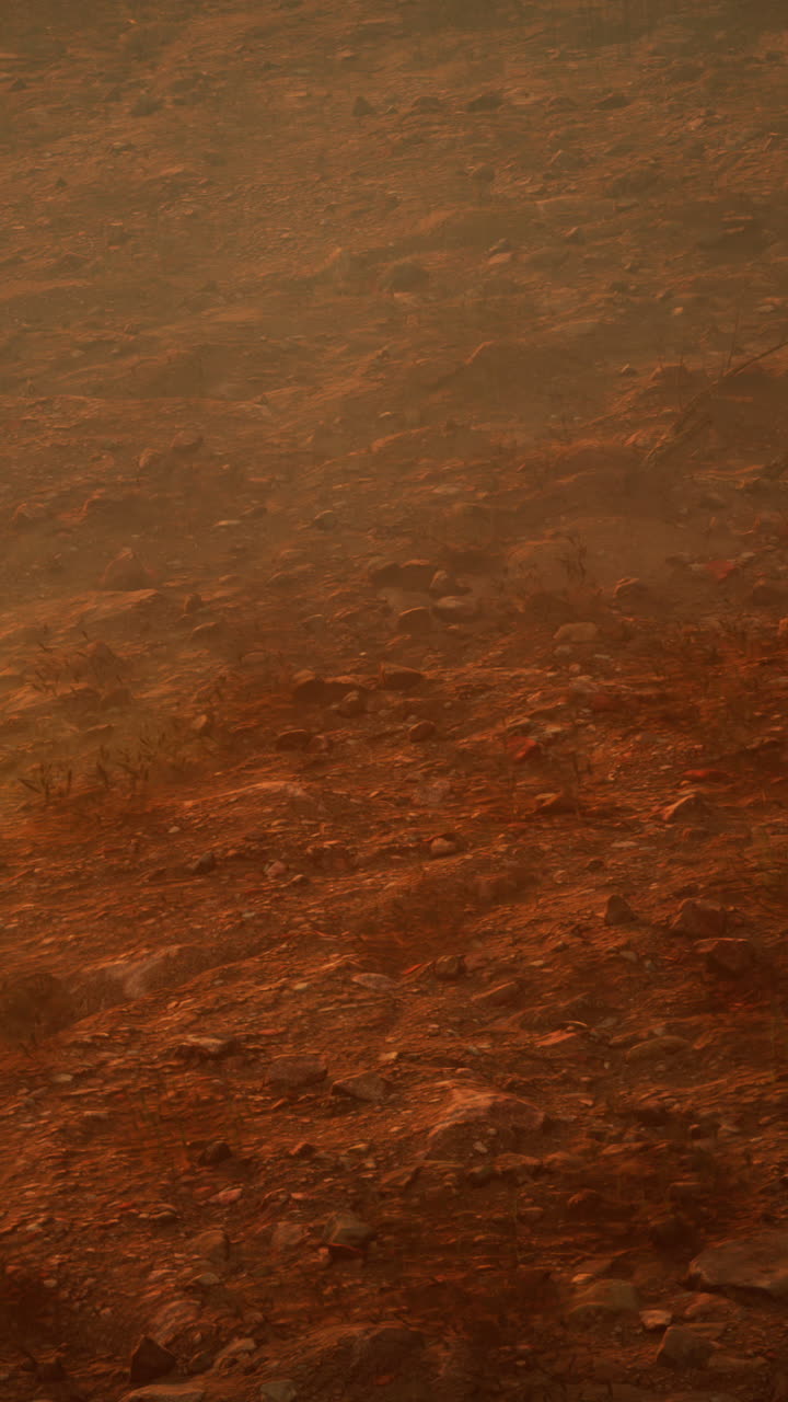 paisaje desértico con arena roja y rocas