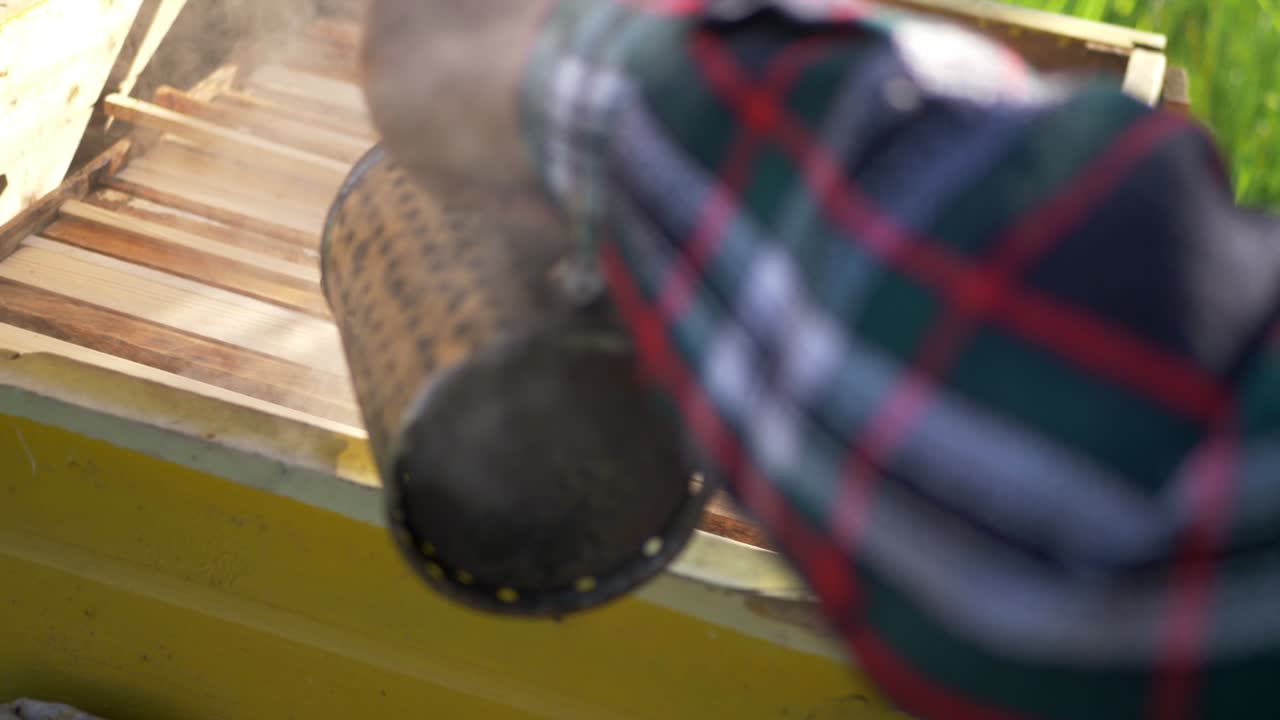 el apicultor esparce el humo en la colmena saca el marco del panal