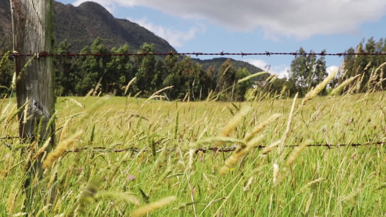 Serene Field with Barbed Wire Fence and Mountain View