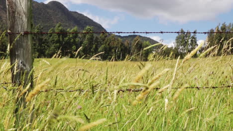 serene field with barbed wire fence and mountain view