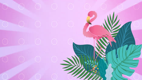 Animación-De-Flamencos-Y-Hojas-De-Plantas-Tropicales-Sobre-Fondo-De-Rayas-Rosas