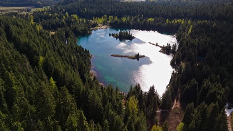 high orbital aerial shot of gold creek pond and evergreen forest in washington state