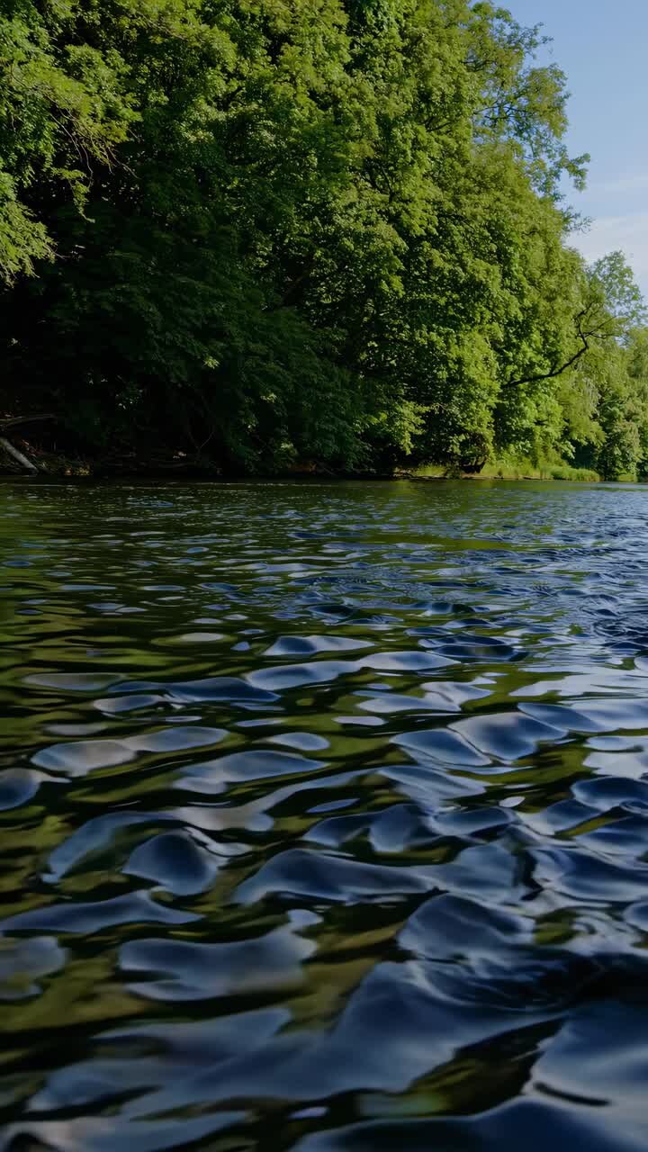 Serene river video with a low-angle view, capturing lush green trees and rippling water