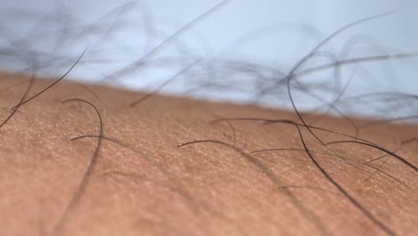 인간 손 피부 극단적 인 근접