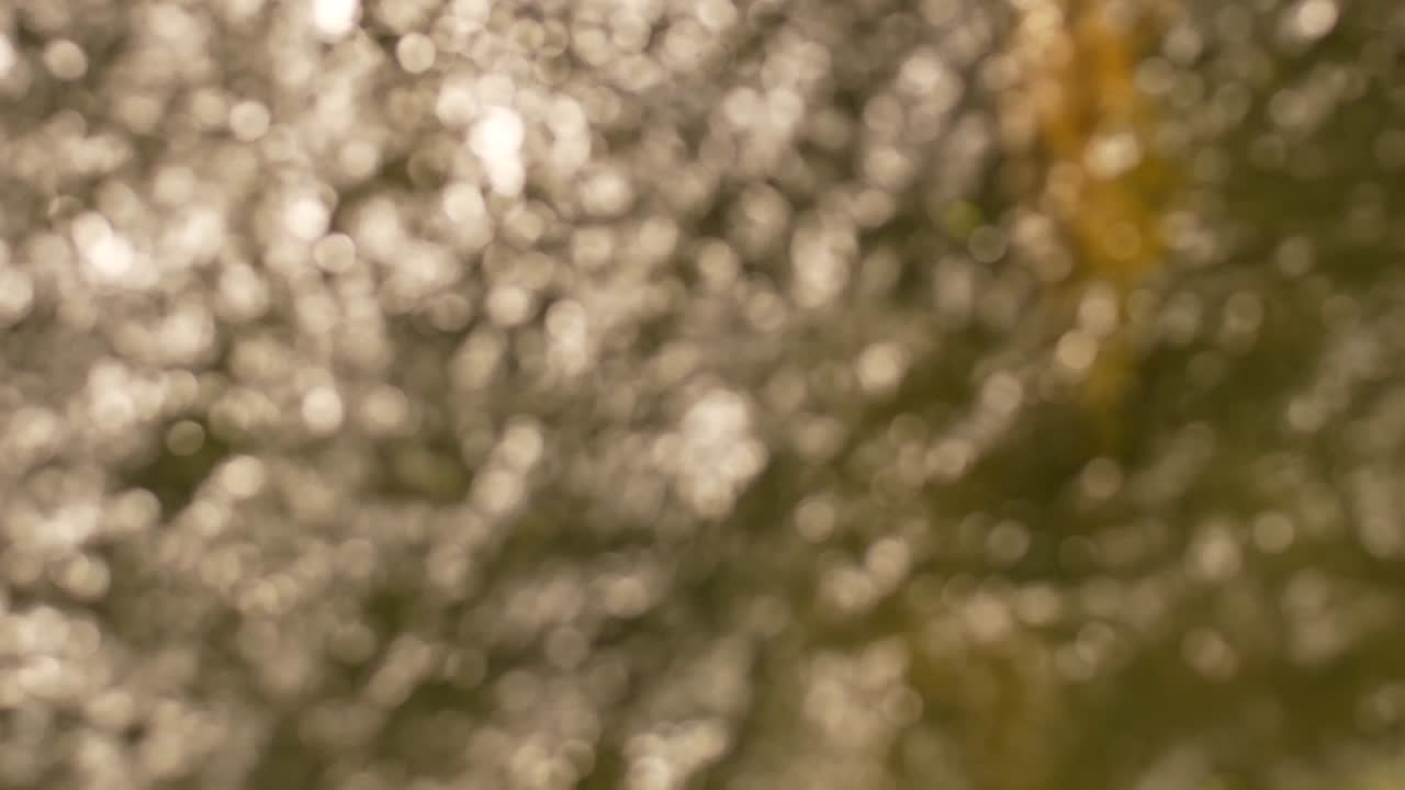 burbuja de aire borrosa de la máquina de oxígeno. fondo de bokeh borroso abstracto.