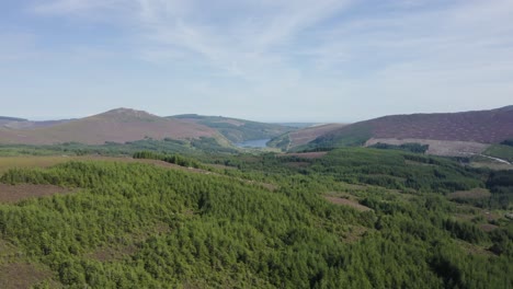 Una-Toma-Aérea-Sobre-Los-Bosques-Con-Las-Montañas-Wicklow-Al-Fondo-Durante-Un-Día-Soleado-Con-Cielos-Azules-3