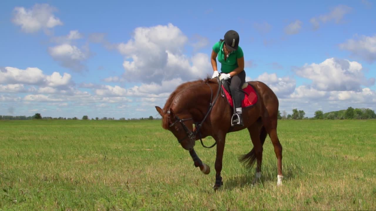 mujer montando un caballo en un campo