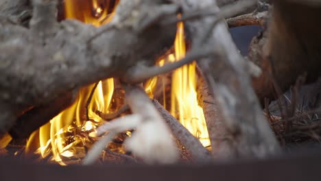 fuego de campamento