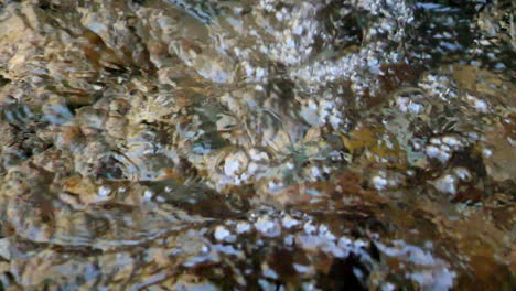 tiro de cámara lenta de arroyo balbuceo de claro arroyo de montaña