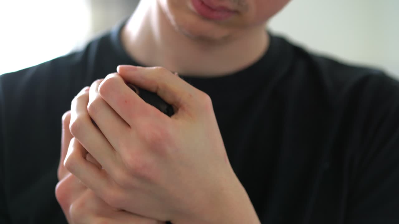 Pet domesticated rat playing in owners hands