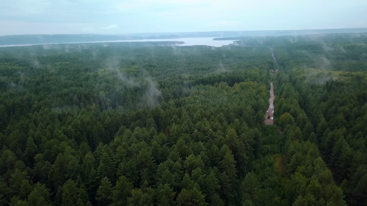 강을 볼 수 있는 안개 숲