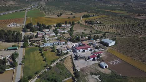 Vista-Aérea-De-Un-Pequeño-Pueblo-Rural-En-El-Sur-De-España-Rodeado-De-Campos-De-Olivos