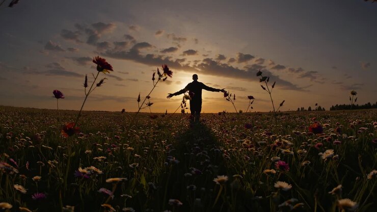 Silhueta de uma pessoa em um campo de flores silvestres ao pôr do sol, capturada de um ângulo baixo