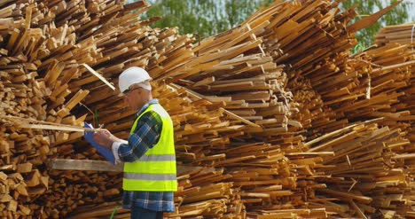 Männlicher-Arbeiter,-Der-Den-Stapel-Der-Bretter-Untersucht-16