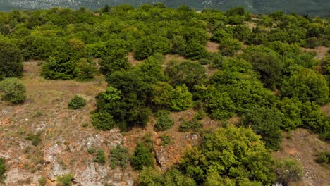 Aerial-shot-of-Macedonia-coast