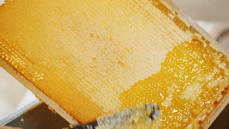 a close-up of a knife opens a honeycomb with honey on a frame made of beehive honey production techn