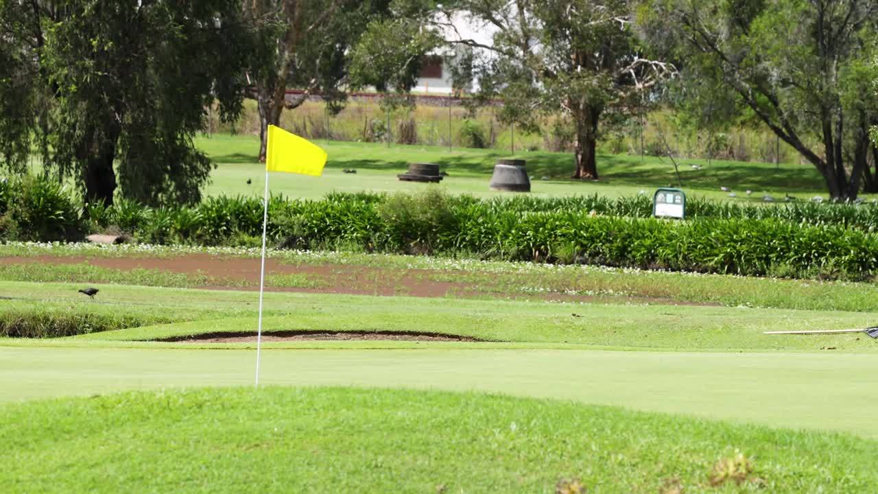 골프 코스 발이 바람에 부드럽게 날아다닙니다.