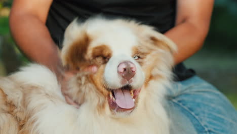 un hombre juega divertido con su perro sacude la cabeza video en cámara lenta