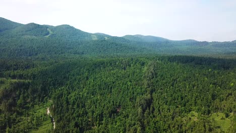 Drone-view-of-a-bright-green-mountain-forest-landscape