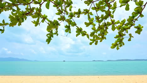 blue sky seen through fronds with seascape and empty sandy beach