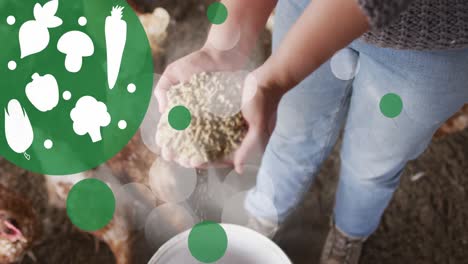 animación de iconos de verduras y manchas en la sección media de una mujer alimentando pollos en una granja avícola.