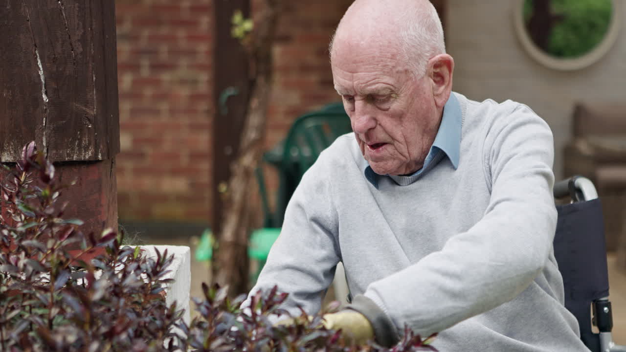 Elderly man gardening