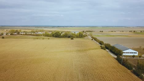 drone shot over field and village buildings